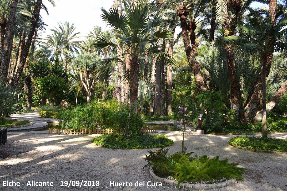 19 ELCHE HUERTO DEL CURA (27).JPG